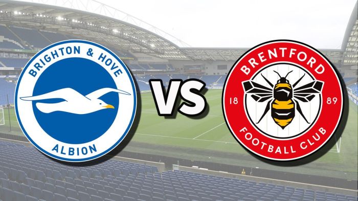 Brighton vs brentford