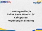 Lowongan Kerja Teller Bank Mandiri Di Kabupaten Pegunungan Bintang