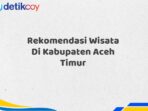 Rekomendasi Wisata Di Kabupaten Aceh Timur