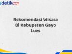 Rekomendasi Wisata Di Kabupaten Gayo Lues