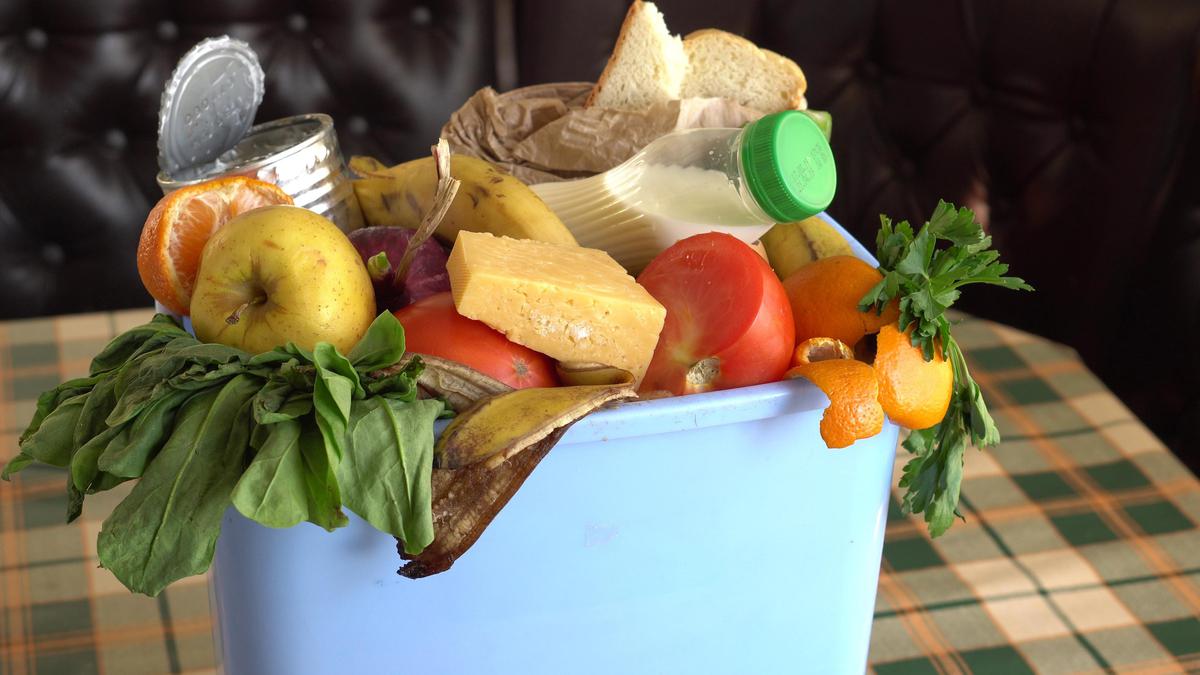 Bagaimana Cara Agar Tidak Membuang-Buang Makanan