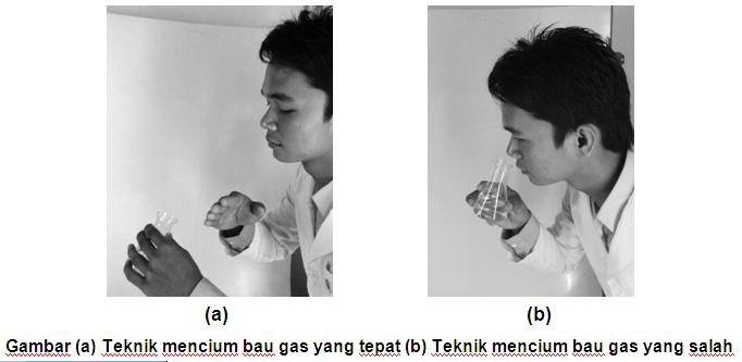 Rahasia Membaui Larutan Hindari Bahaya Dapatkan Hasil Akurat!