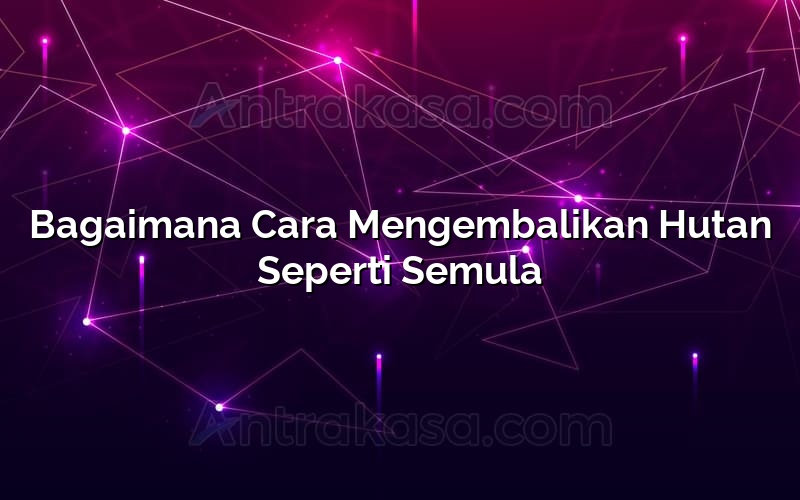 Bagaimana Cara Mengembalikan Hutan Seperti Semula